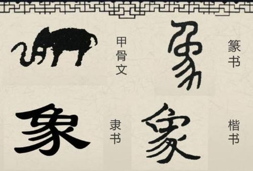 她的每一个字都有一段故事,她记载着我们民族的物质和精神的历史,她