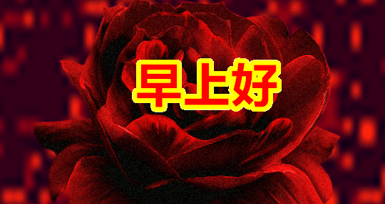 清晨早安祝福语5张漂亮图片动态表情,早安问候祝福语短信
