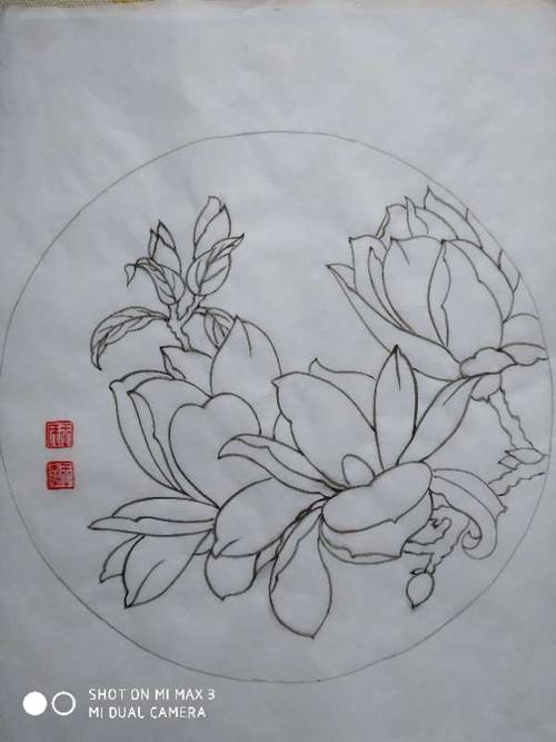 春兰老师的玉兰花团扇教程