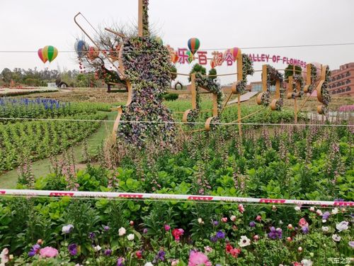 五龙山百花谷半日游