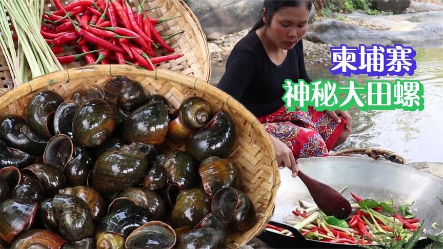 野外烹饪:柬埔寨美女用独门方法烹饪鸡蛋,这做法太有创意了