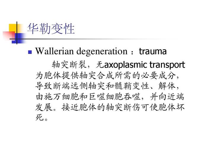 症,面神经炎,三叉神经痛 华勒变性   wallerian degeneration :trauma