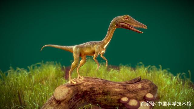 "迷你恐龙"家族添最小成员:"迅猛龙"新现身体型如鸡