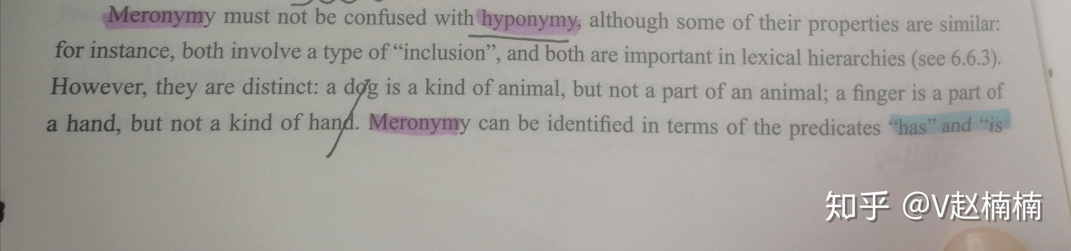 automeronymy是个啥