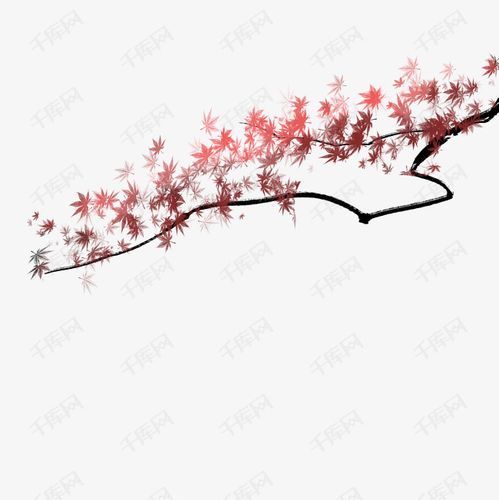 中国风水墨枫树枝装饰免扣素材