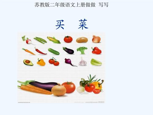 《练习5》(写话:买菜).ppt 21页