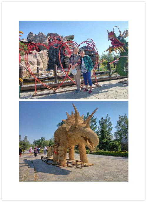 放飞心情 乐享自然——黄河富景生态世界游玩活动