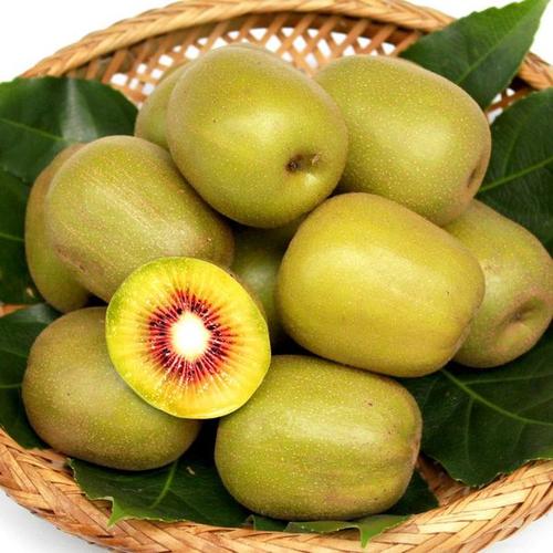 四川特色水果--苍溪猕猴桃