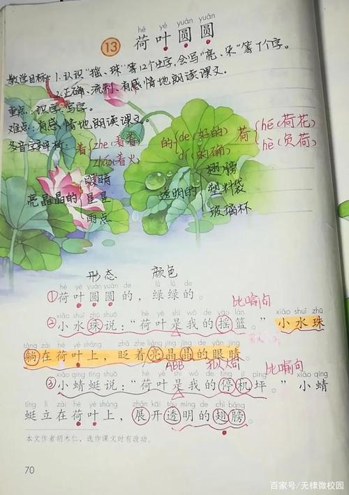 一年级下册语文第13课《荷叶圆圆》笔记 朗读 生字 听写 课时作业
