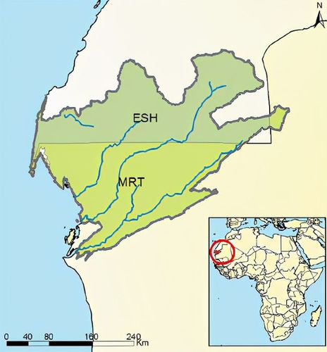 毛里塔尼亚/西撒哈拉atui流域权利|撒哈拉沙漠|_网易