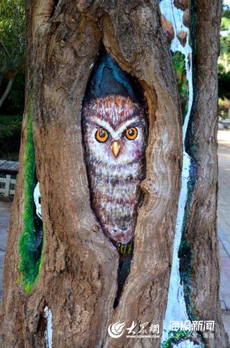 用"树洞"巧作画吸睛无数 青岛又现"网红"打卡地(多图)
