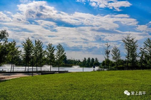 水帘山洞,叠水花台,湿地栈道,来昌平这座免费公园,纵享八月惬意时光!