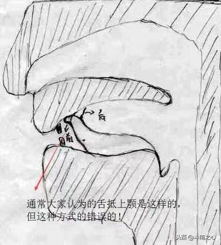 错误的舌抵上腭方法