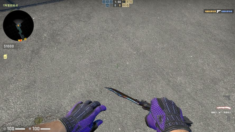 【水月】淬火蝴蝶加潘多拉手套 主站全_csgo_国际服