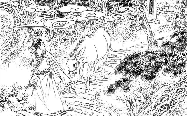 "老夫人笑着说;"我想起来了.此女果然窈窕,贤甥眼力不错.