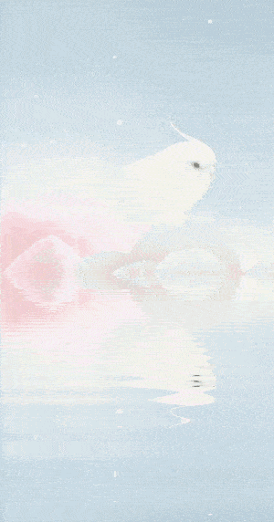 300_572竖版 竖屏gif 动态图 动图