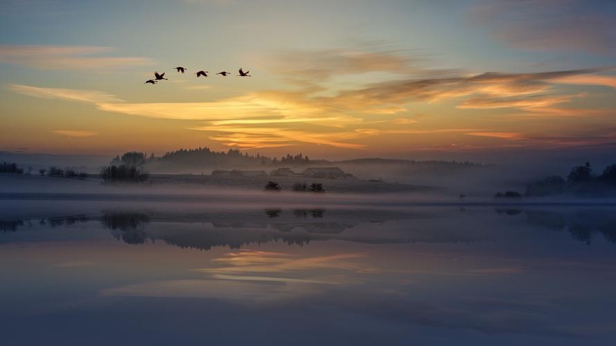 日落 云 天空 鸟类 动物 飞行 候鸟 6k图片壁纸