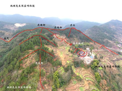 陈益峰:卧虎形地,牟氏老虎坪三品祖坟|≌≌阴宅风水