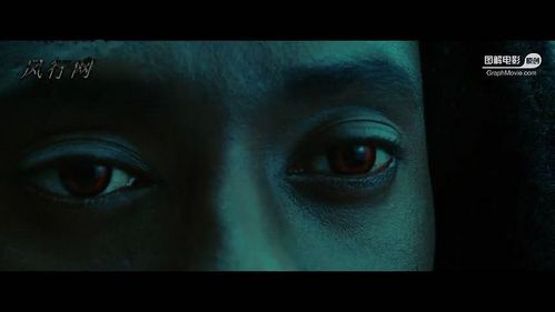 图解电影《暮光之城1》杀人凶案羁绊中的人鬼之恋()-3