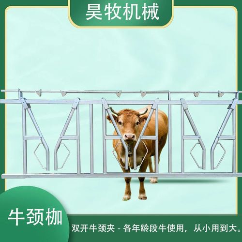 昊牧牛颈夹做法图解和尺寸双开口牛颈枷大牛小牛都能用的牛颈枷