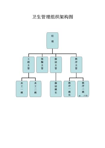 卫生管理组织架构图教程文件.doc 1页