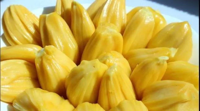 世界上最大的水果_菠萝蜜