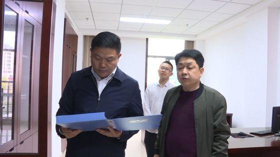 凌勇调研指导扫黑除恶专项斗争