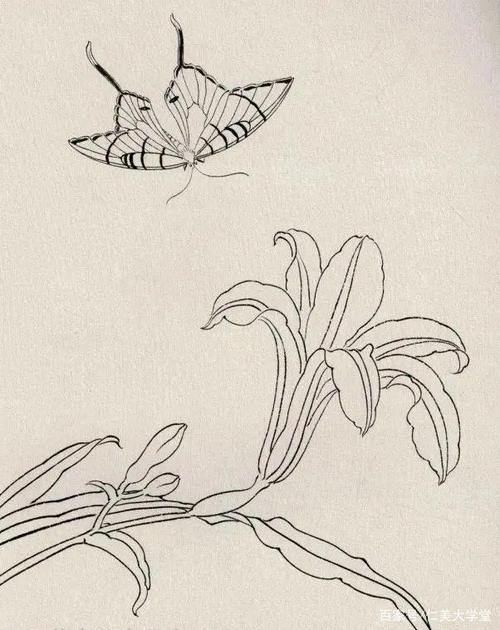 图文教程:国画萱草画法合集