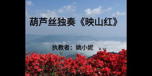 葫芦丝独奏《映山红》