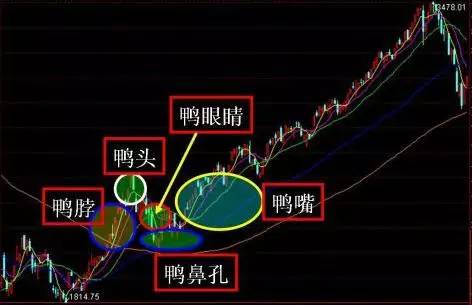 一位短线天才坚持用"老鸭头"战法 在股市如鱼得水!