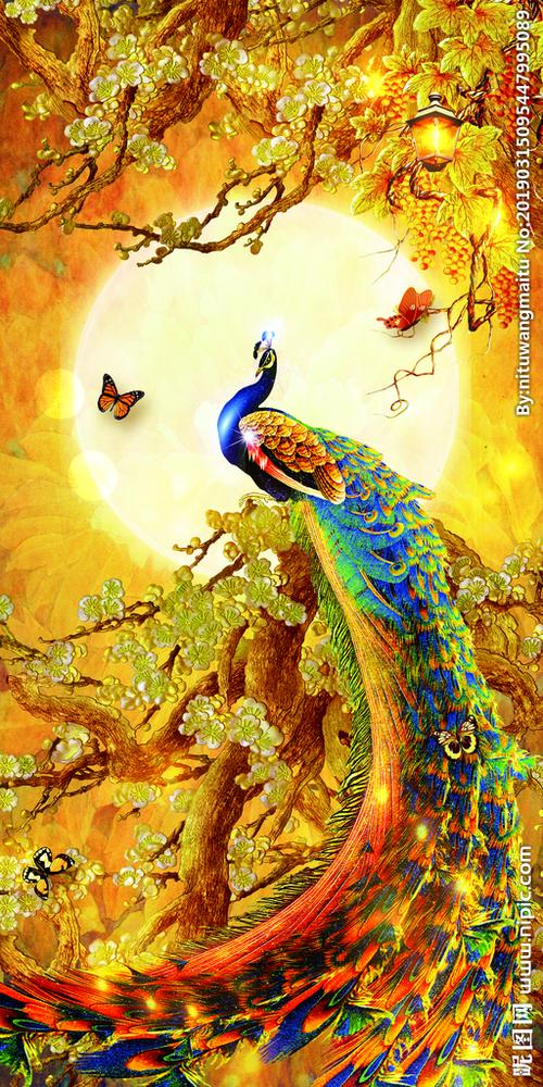 孔雀图图片