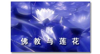 佛教与莲花