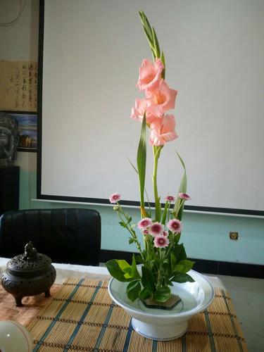 这是我第一次做花艺课,教授大家插花.剑兰,若君子,初心不改.
