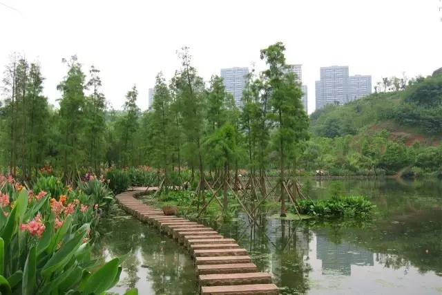 (部分内容来自"吃喝玩乐在重庆",由华龙网综合整理)