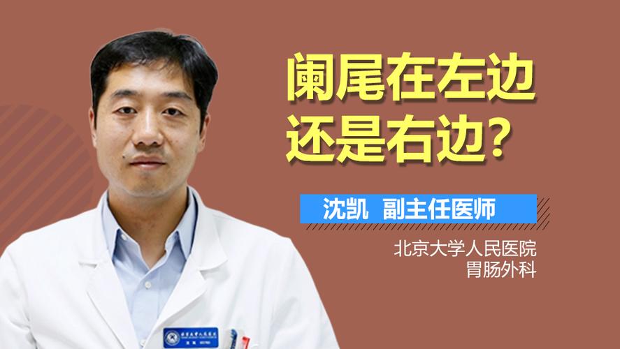 阑尾在哪里