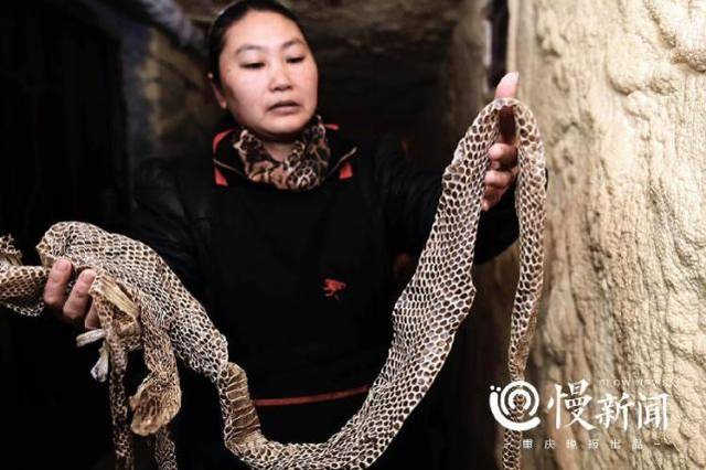 在她的手机里,保存着好几段视频,其内容佐证了渝东女蛇王的剽悍说法不