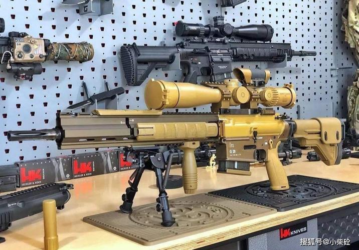十大精确射手步枪,轻便灵活精准度高