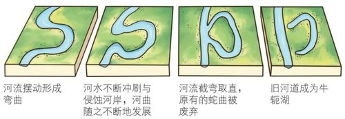 (2)牛轭湖的形成过程.我说的太夸张了?没有没有呢,你来,你来.