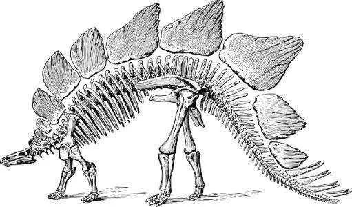 【独家解读】古生物学:历史的"活化石"