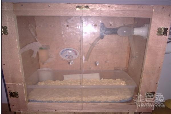 自制保温箱详细步骤