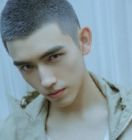 寸头是检验颜值的标准?肖战清爽,彭昱畅变成熟,而他才