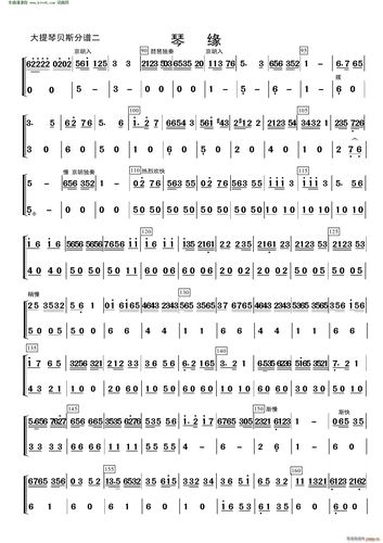 琴缘( 低音提琴分谱 )