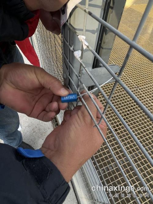 陕西扶眉赛鸽公棚第二关裁判驻棚