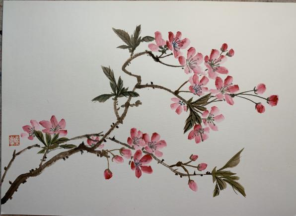 此刻最美的樱花,在大鹏教育学员笔端