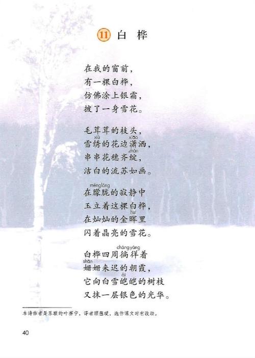 在家也乐学,四年级(下)第十一课《白桦》,课文解析