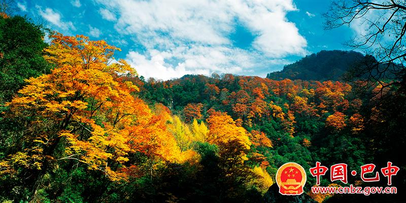 米仓山国家aaaa级旅游景区—何廷摄.jpg