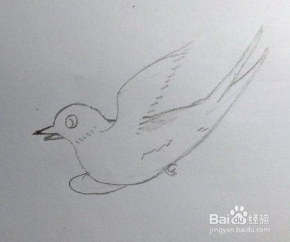 4 画燕子的腹部和尾巴. 5 画燕子身体上的细节和脚 eend