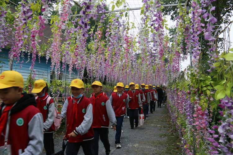 生态研学游 汉水花海行——襄城区杨威中学2020研学之旅