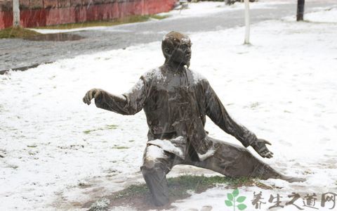 武当13式太极拳2