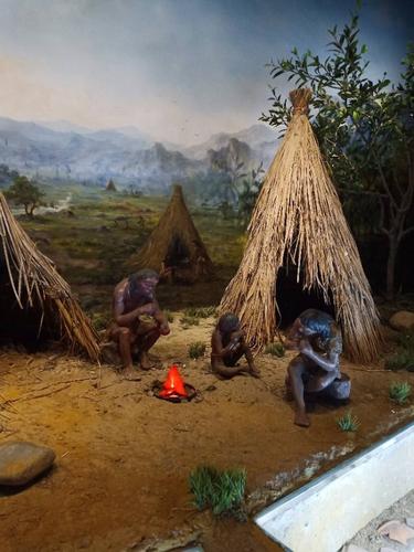 到学会用火的北京人,山顶洞人,以及河姆渡人和半坡人.